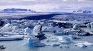 这届年轻人已经饥渴到“吸海豹”了……