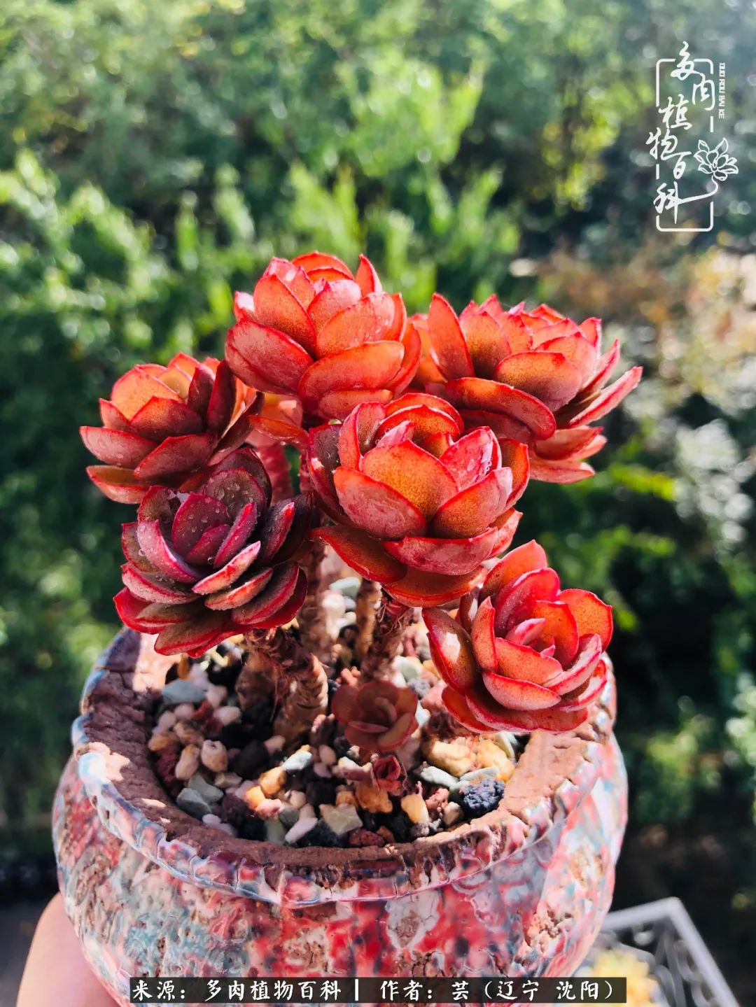 万物皆有灵性有因必有果,万物皆有灵性与生命