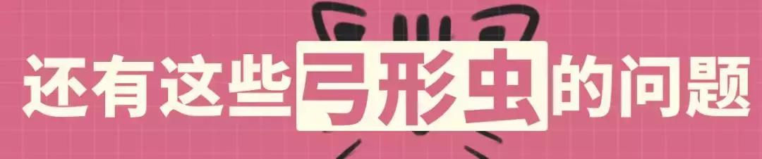 怀孕了还是想养猫猫狗狗怎么办？华西专家：可以养，但绝不能随便养！