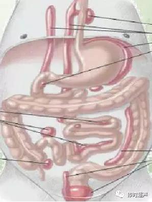 小儿消化道急症超声