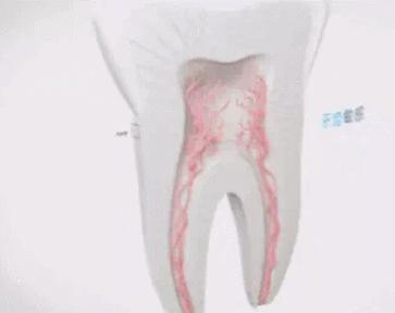 用了舒客牙膏牙齿对冷热敏感,牙齿脆弱敏感哪款牙膏好一些