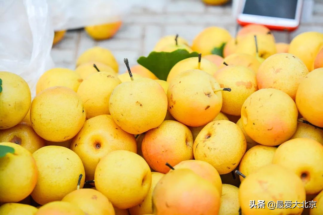 带你逛北京最大早市,北京正宗早市推荐