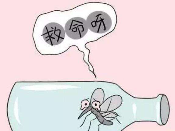 蚊子吸蚊体质怎么消除,易招蚊子体质怎么防蚊