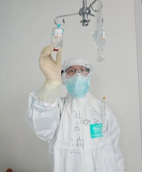 美丽迎春花开了,迎春花盛开的绝美春日盛景