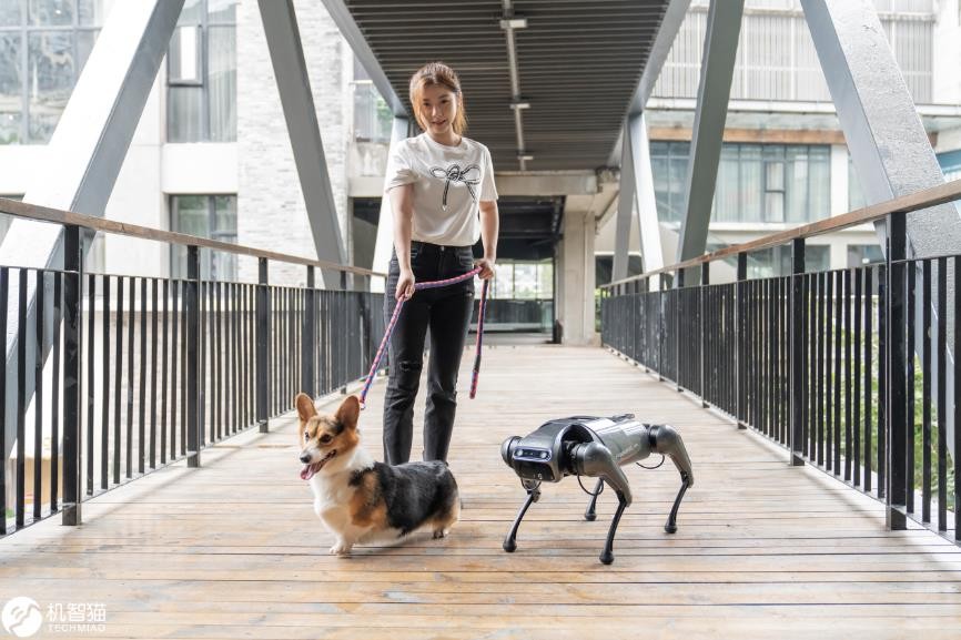 铁蛋四足仿生机器人,cyberdog铁蛋有什么用