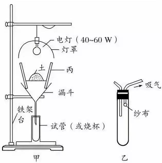 河南高中会考生物必背知识点,生物显微镜实验视频高中