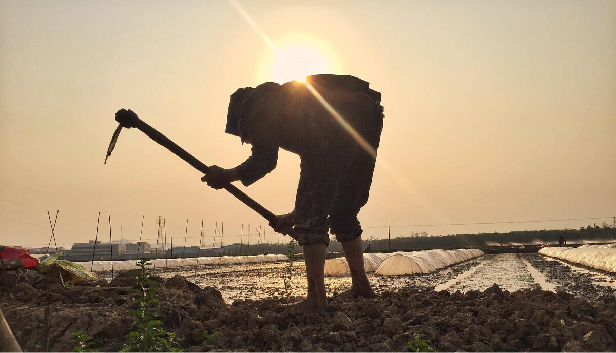 普通人致富最好的方式是什么,年轻人说勤劳致富是真的吗
