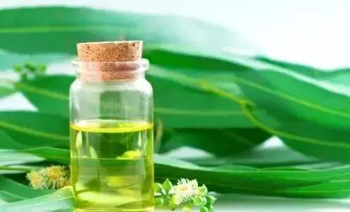 防虫保鲜,防虫保命小妙招