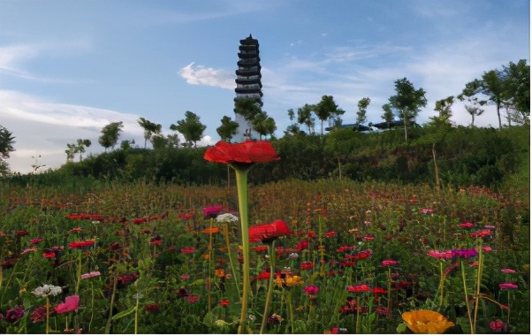 云南禄丰旅游线路攻略图,云南冬季自驾游最佳线路图