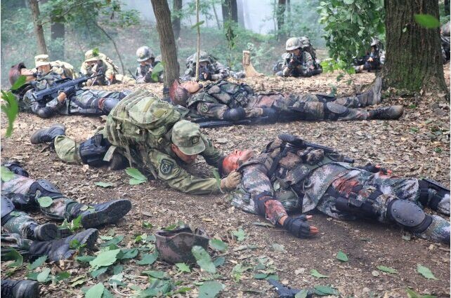 战狼2刷了10遍,战狼2瓶颈深度解析