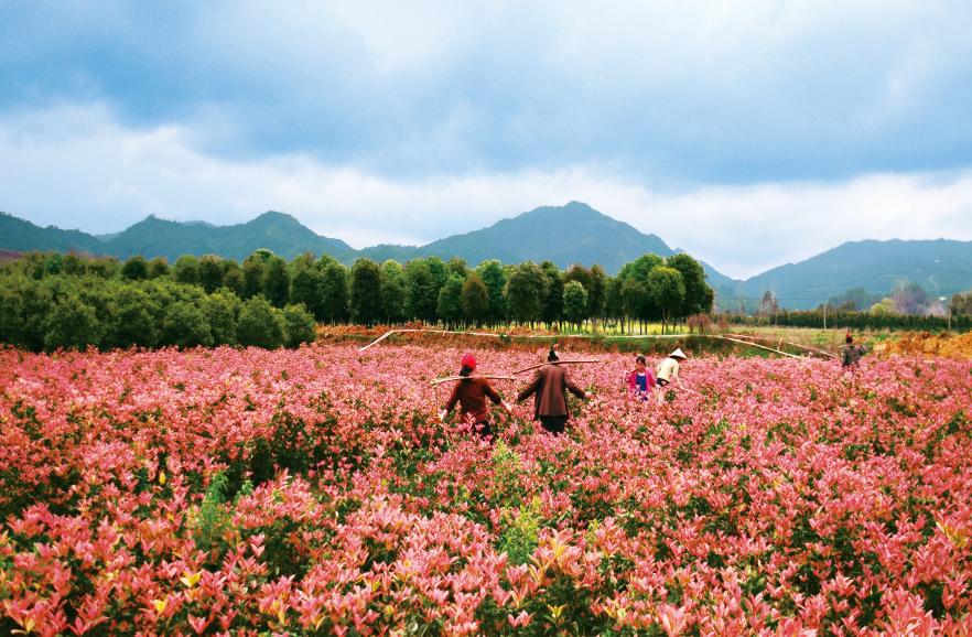 广州周末自驾游去处,广州自驾游十大最优景点