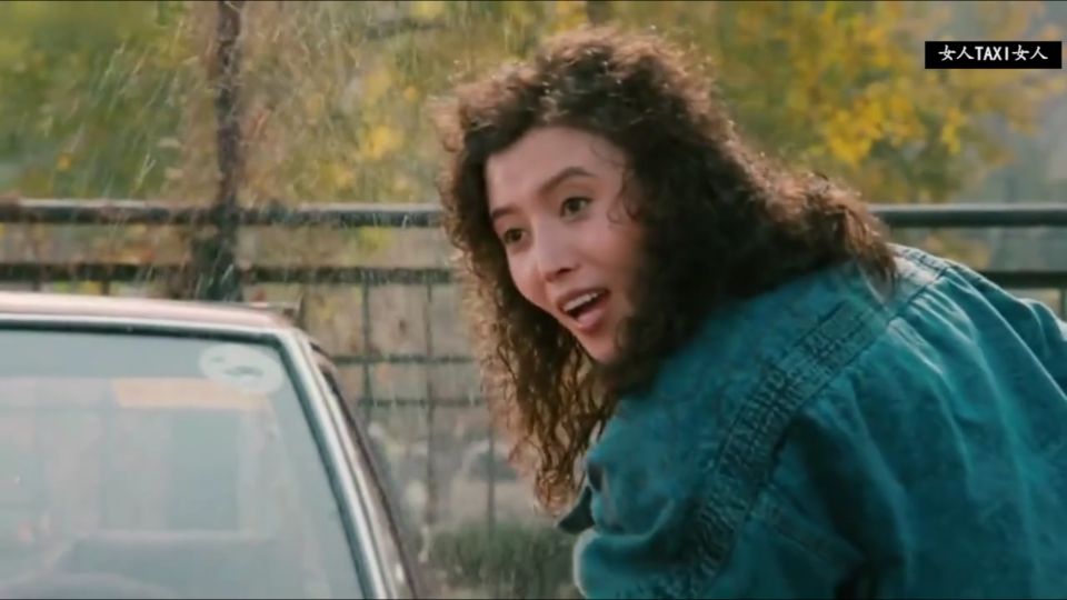 丁嘉丽和赵宝刚有合作吗,孙红雷赵宝刚出名