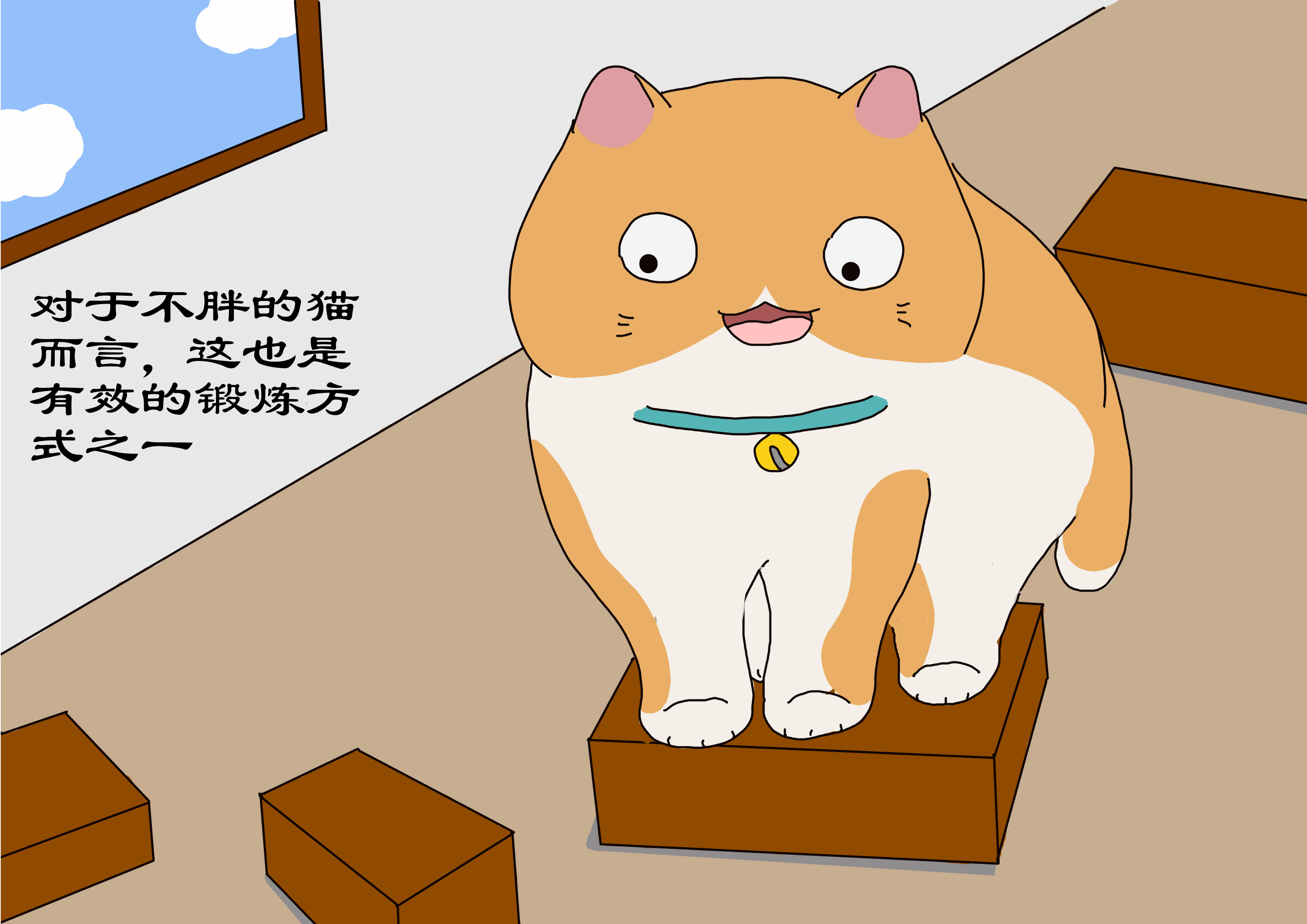 铲屎官宅在家,铲屎官如何照顾猫崽