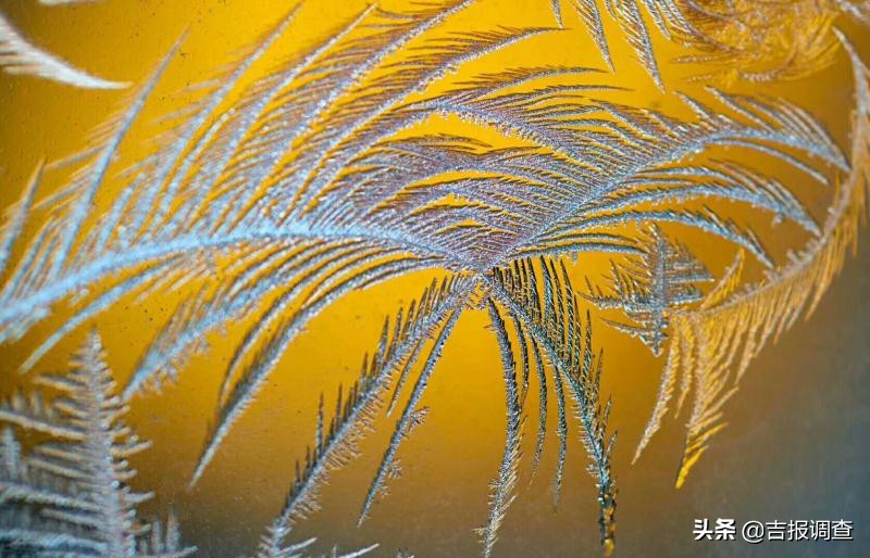 清晨玻璃窗上结满了霜花,唐古拉玻璃窗上的霜花