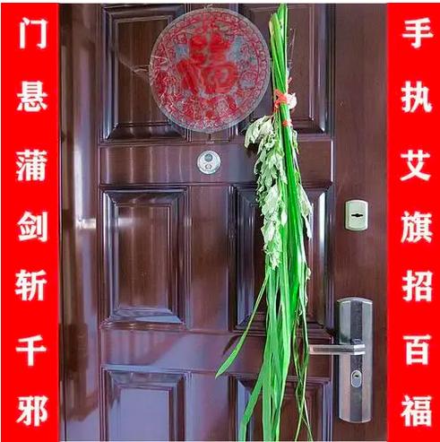 端午节为什么要挂艾草简短,端午节挂艾草是什么意思啊