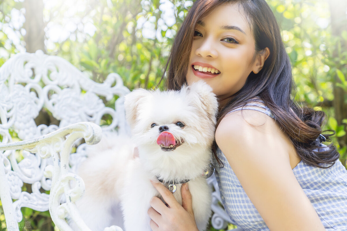 养狗的60个养宠小知识,养宠物干货知识大全集