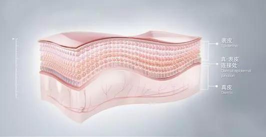 欣奕除疤凝胶对疤痕体质有效果吗,疤痕形成后用芦荟能除疤吗