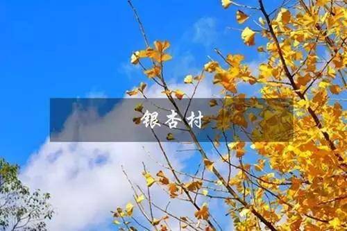 1月带娃云南小众旅游,云南小众旅游2日游