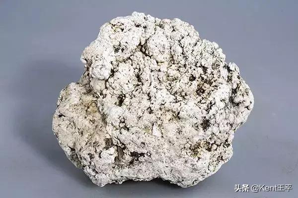 海里的粑粑,海里有粪便吗