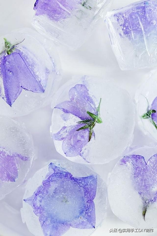 鲜花摄影作品欣赏,高清鲜花美图