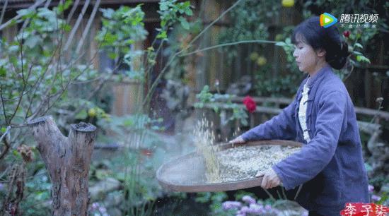 张同学与李子柒视频拍摄对比,李子柒张同学为什么会红