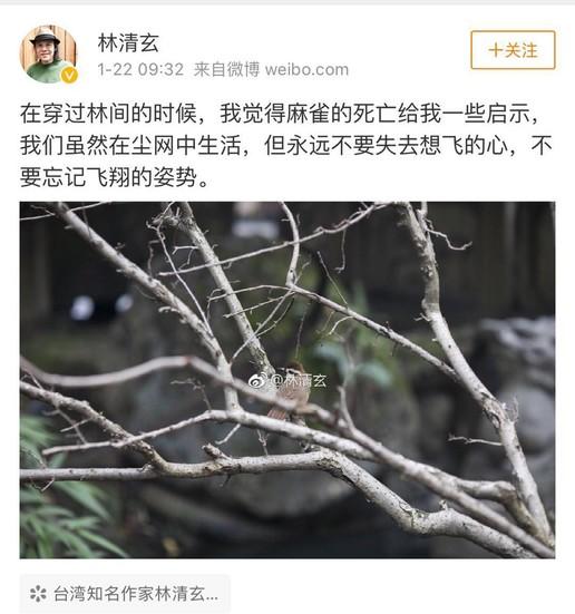 林清玄喝茶感悟,林清玄清欢感悟