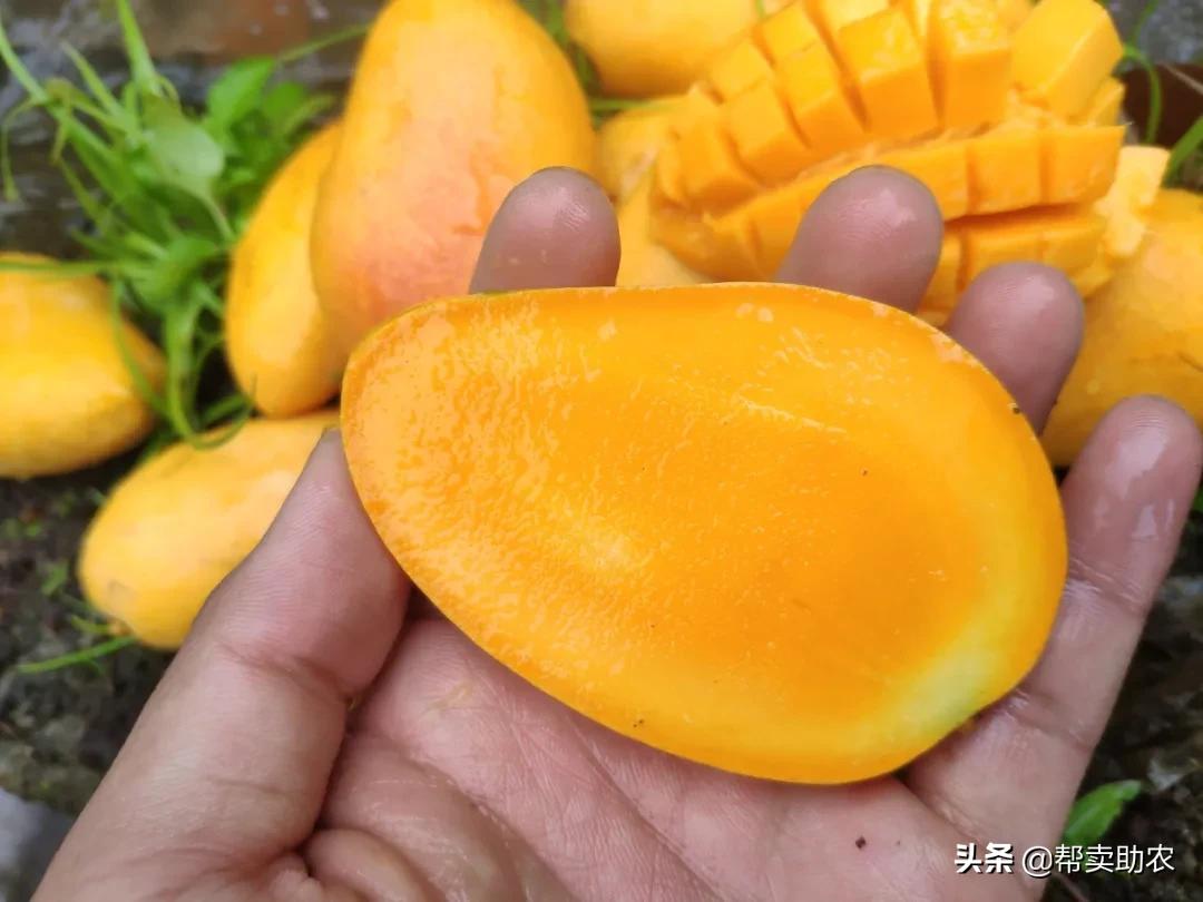 小台芒香甜滑嫩甜而不腻,台芒香甜多汁2.5斤