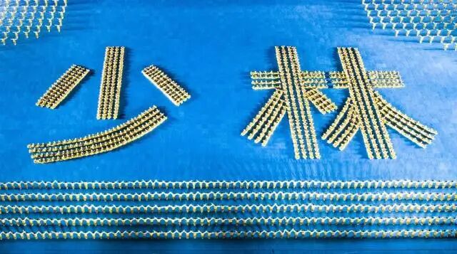 少林塔沟武校排练视频,少林塔沟武校慢动作教程