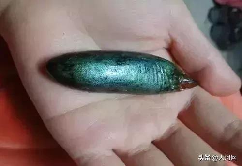 吃河豚鱼中毒能治好吗,吃河豚鱼中毒有救吗