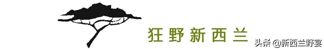 新西兰南半球最高多少米,新西兰的自由与浪漫