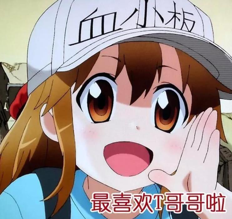 没对比就没伤害为中国速度点赞,没对比就没有伤害老外