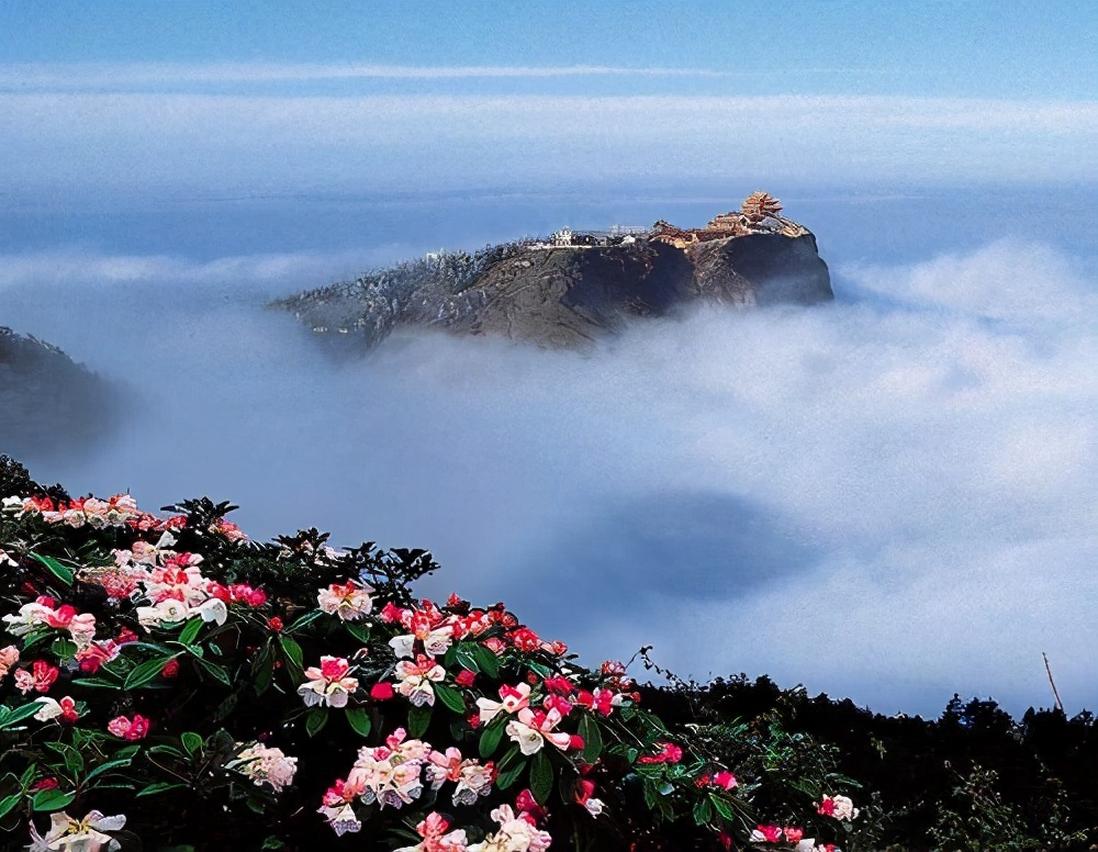 峨眉山景区的峨眉雪芽,峨眉雪芽简介