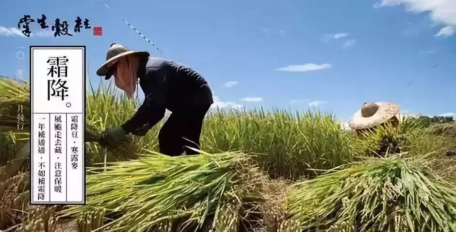 日本、新加坡、台湾、德国、以色列这样卖农产品