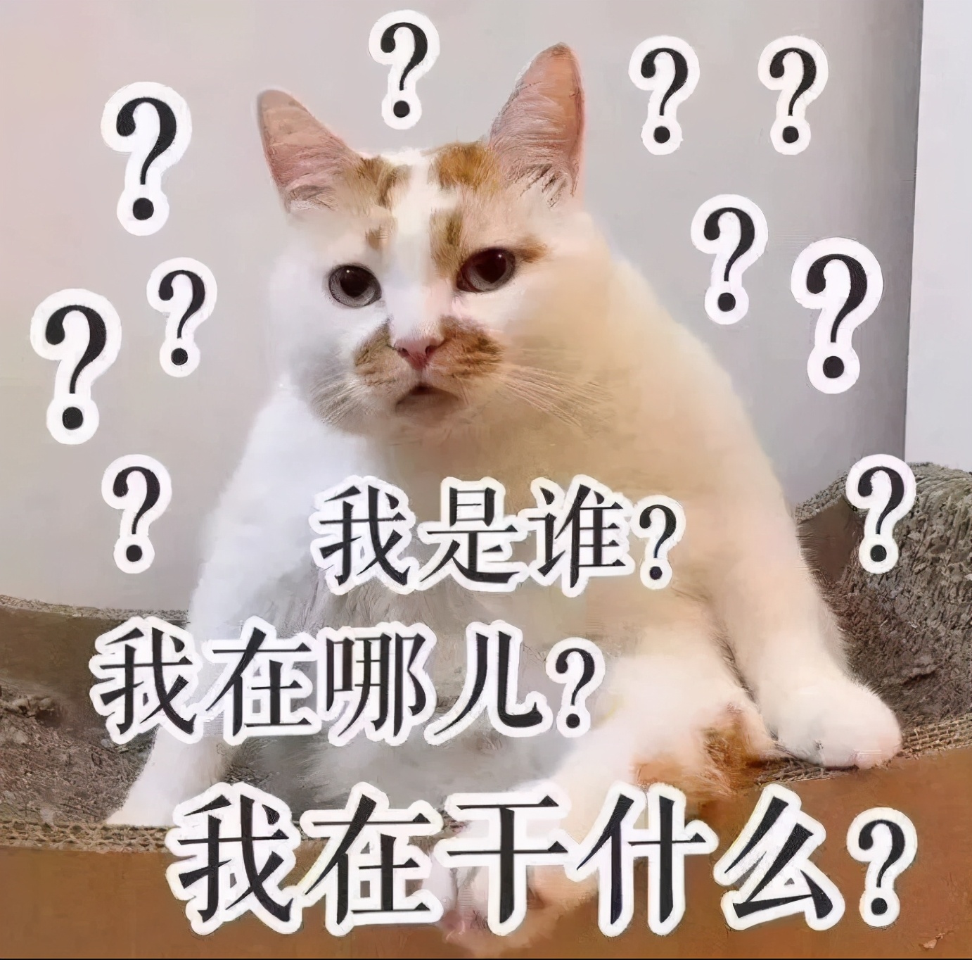 张钧甯素颜现身被*拍偷**！憔悴形象非常瘦，一双大长腿撑不满裤管