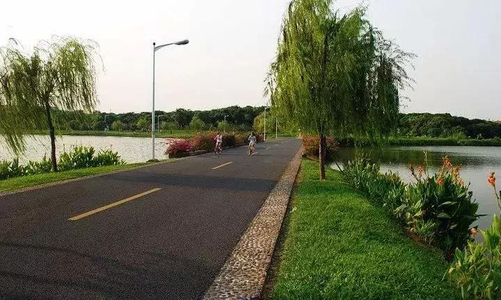 厦门观音山周边五星级酒店,观音山住宿推荐酒店