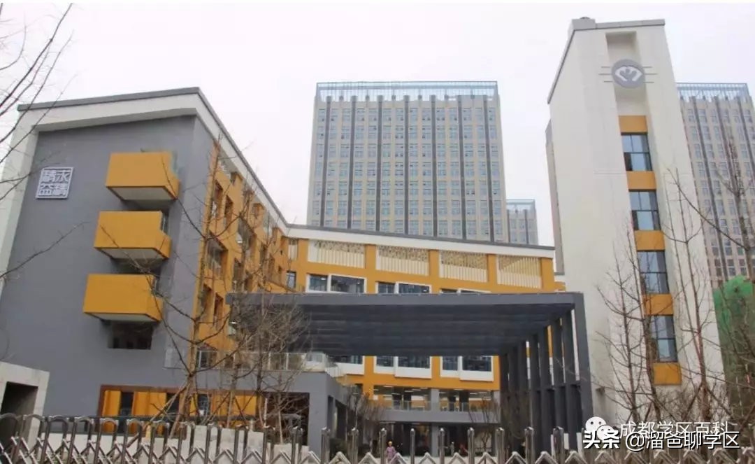 大源片区小学排名,高新区大源片区学校排名