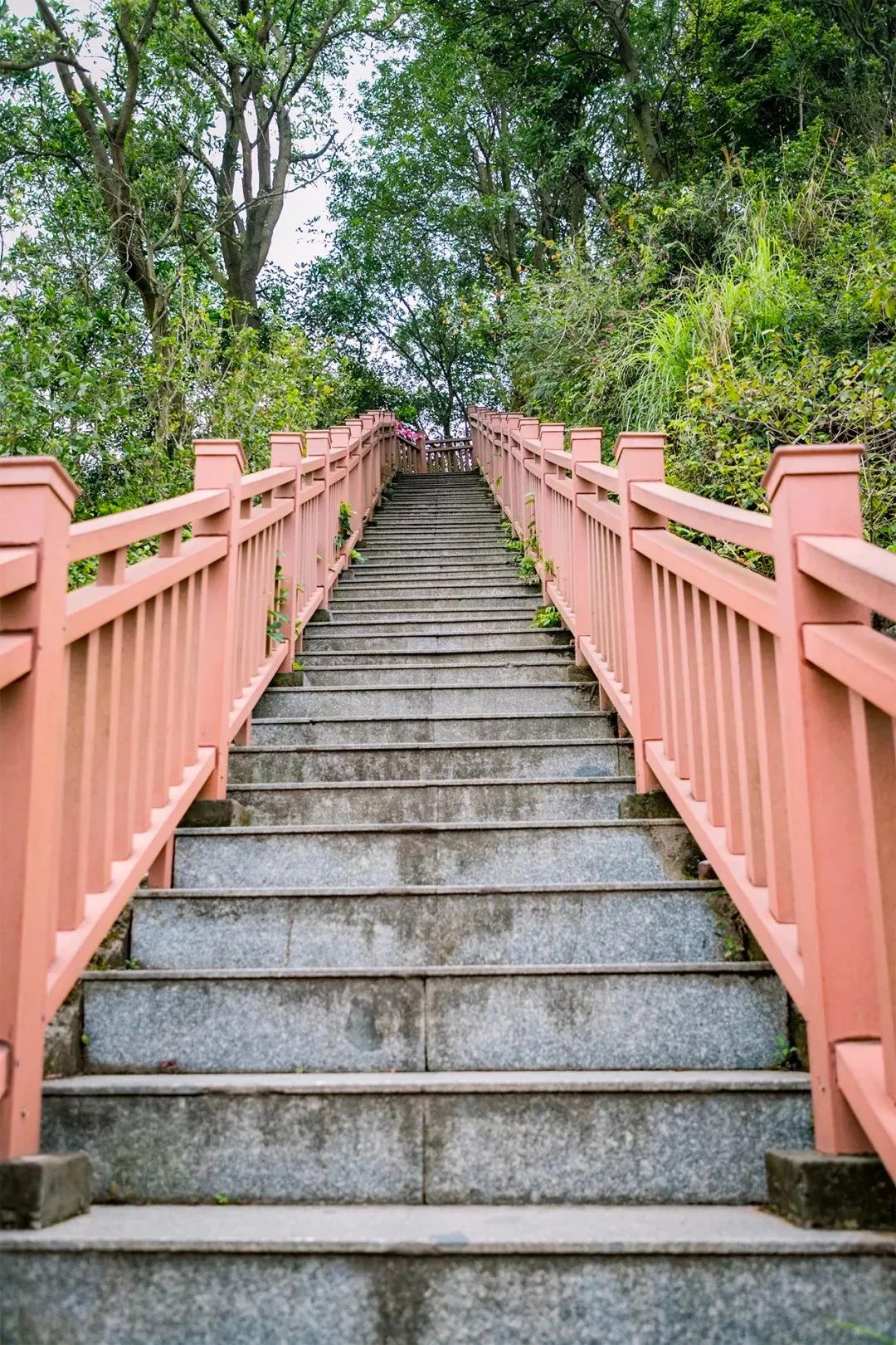 深圳值得打卡的建筑物,深圳最值得打卡的山