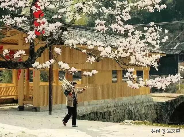 福建各县姓氏人口排名,福建姓氏排行榜快来看看你排第几