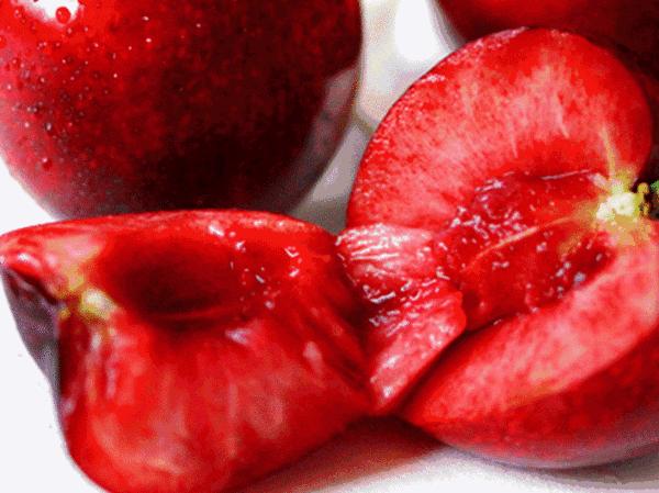 澳洲大樱桃和车厘子是一种吗,澳洲跟智利车厘子哪个更好吃