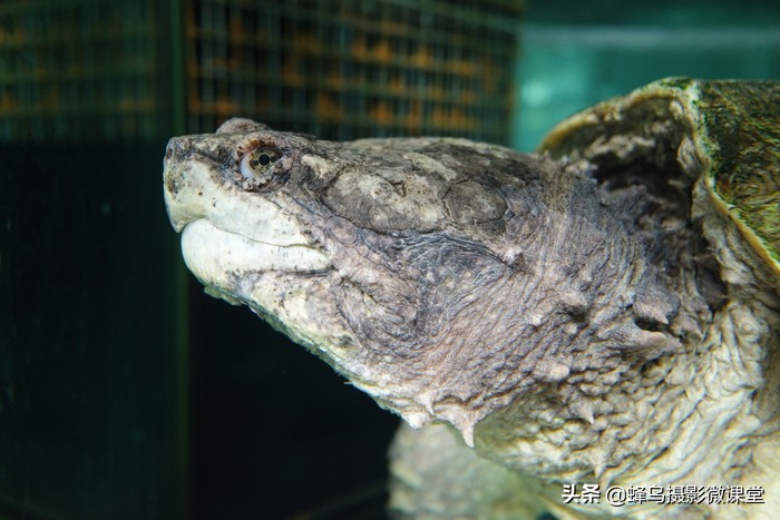 相机测评：理光GR3扫街拍照神器6199元买的不只是情怀