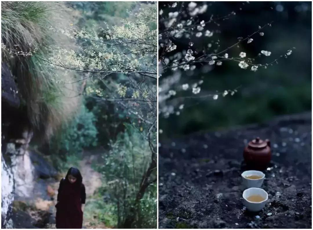 武夷山亲子民宿推荐独栋别墅,武夷山一同山居茶文化民宿