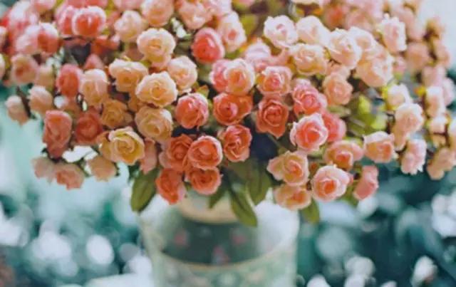 渡人亦渡己图片大全,渡人亦渡己原版视频