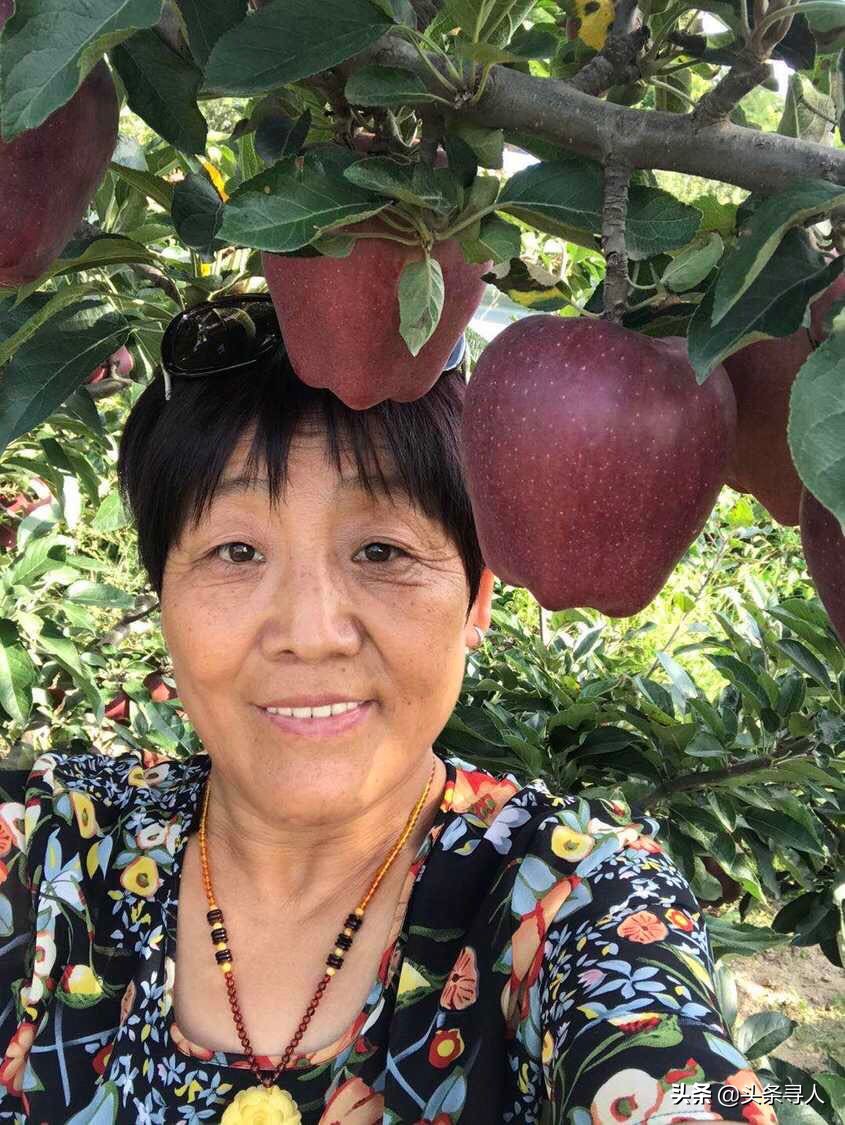 运城退休公务员变扶贫达人直播卖货，最接地气“网红”成万荣果农偶像
