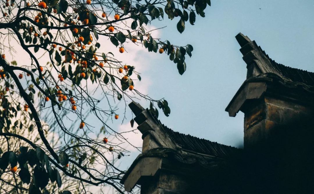 徽州赏秋三日游自驾游攻略,小众徽州赏秋村落