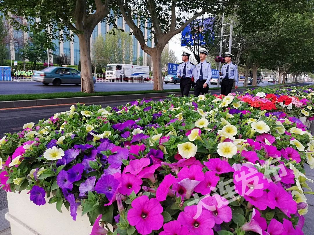 大马奔腾,小马奔腾汽车功能黑科技