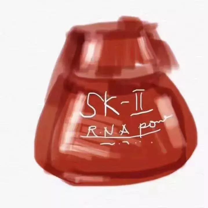 电商法怎么代购,2019年电商法代购