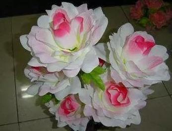 为什么你拍的视频那么清晰,为什么你拍的视频又黑又暗