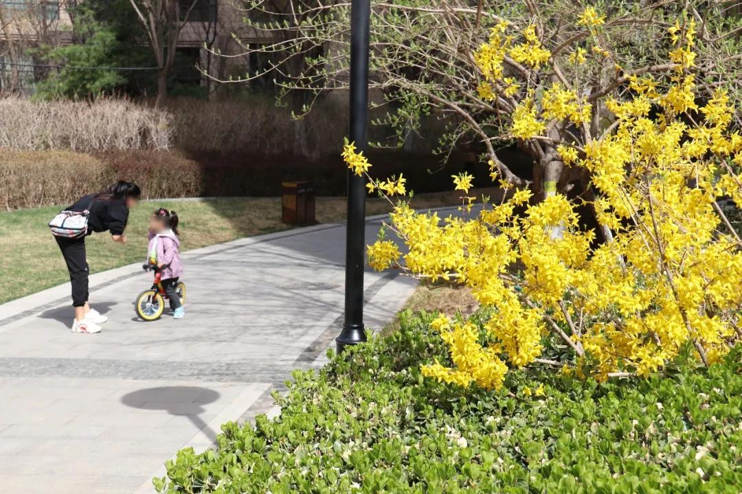 走在春天里简谱,歌曲走在春天里