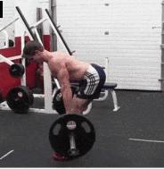 腿部肌肉练习全攻略,腿部肌肉起止点及功能训练动态图