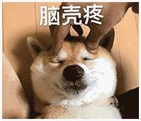 狗狗绝育vs不绝育差别还是很大的,狗狗应该绝育么